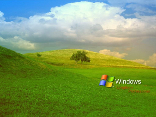 383953 (a): :1024x768
